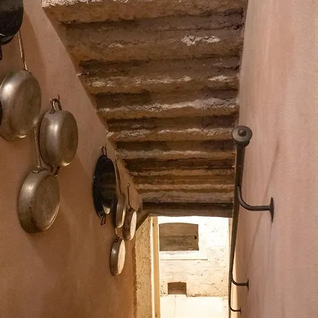 Dell'oleificio Mezzane di Sotto